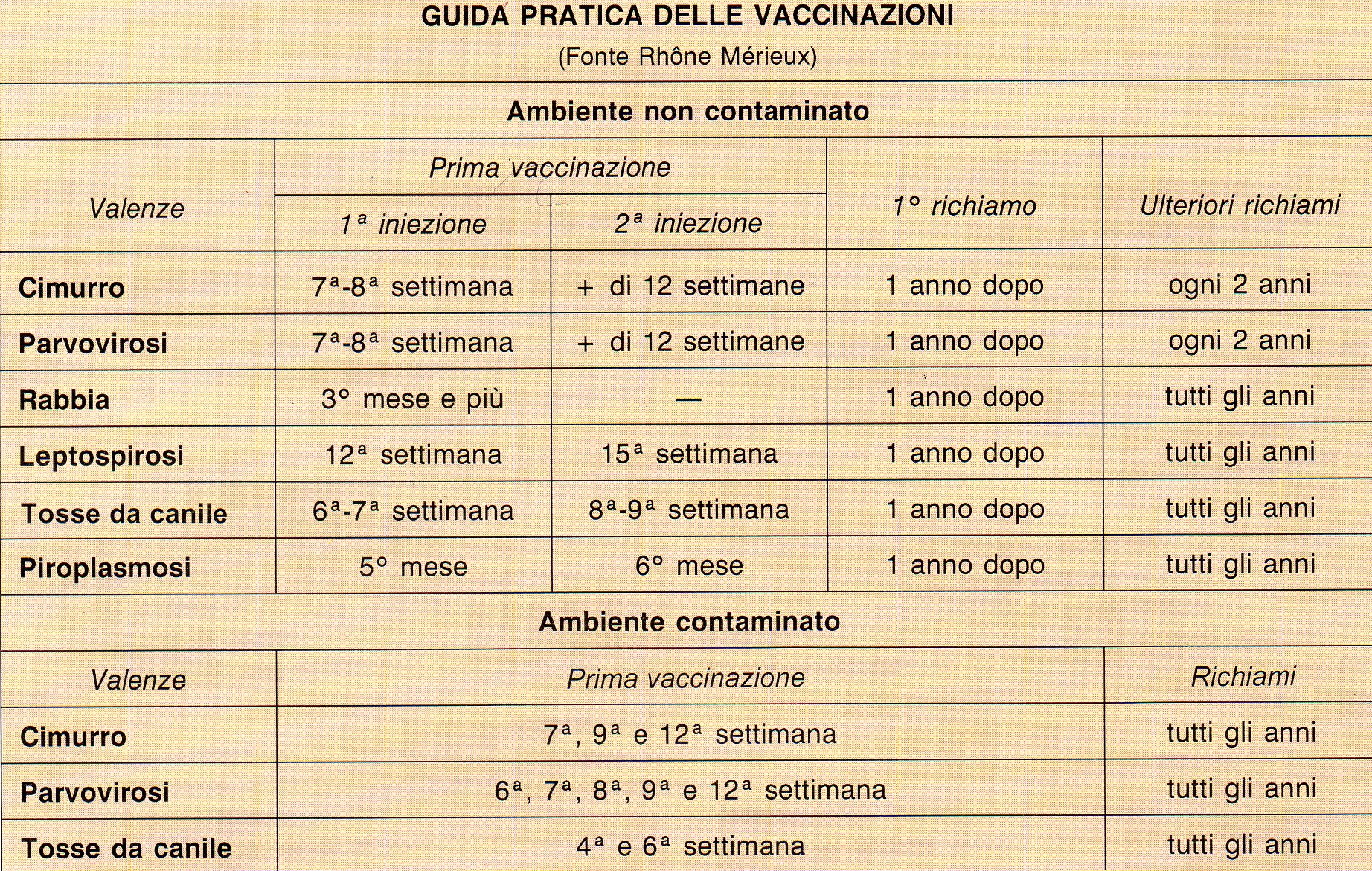 Vaccinazione del cane / Protocollo Vaccinazioni